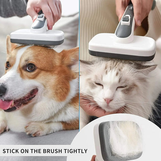 Electric Pet Grooming Brush - Meridan Shops